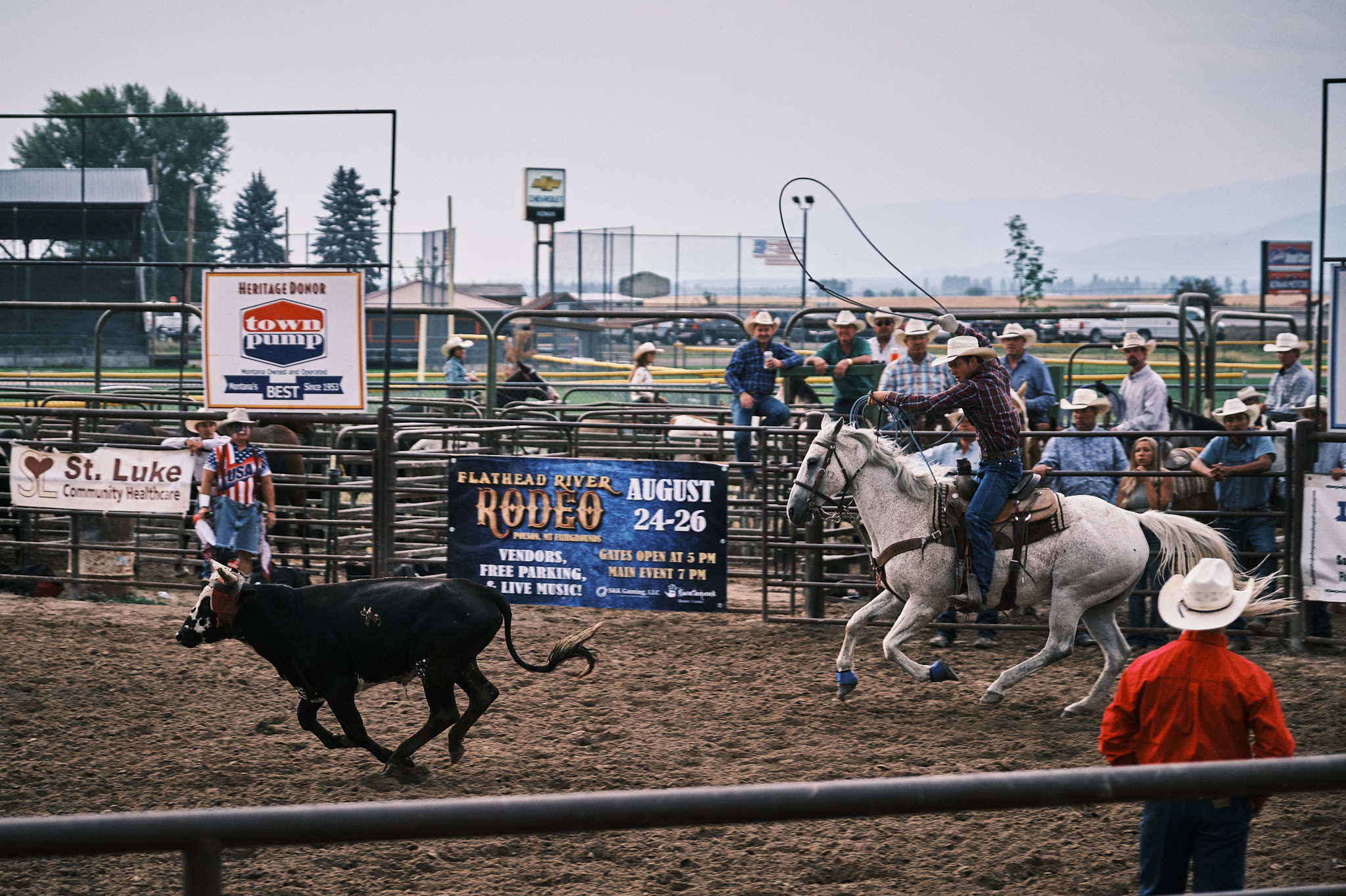 Cowboy on his horse whipping a lasso in the air as he chases a bull